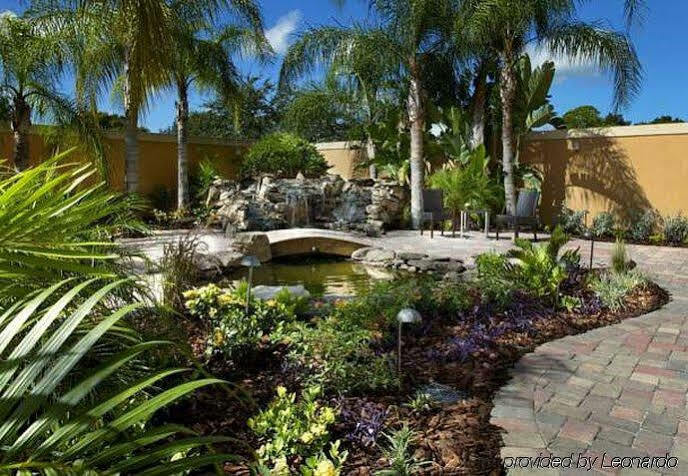 Hotel Courtyard Tampa Oldsmar Zewnętrze zdjęcie